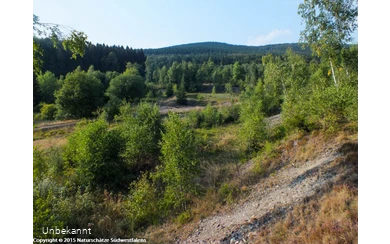 Halden im Grubengelände Littfeld