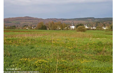 Das Wetterbachtal bei Holzhausen