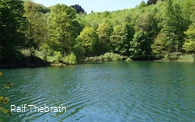 Der Uferweg führt entlang des Wassers und durch wu